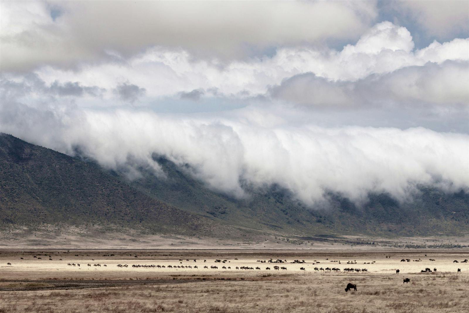 Clouds pouring over the Ngorongoro Crater rim